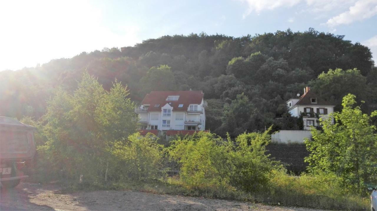 Ferienwohnung Anita Annweiler am Trifels Exteriér fotografie